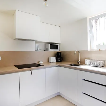 Loft Bica Com Vista O Rio *